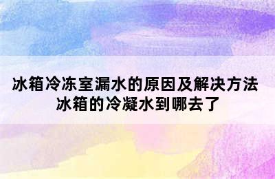 冰箱冷冻室漏水的原因及解决方法 冰箱的冷凝水到哪去了